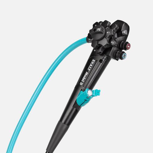 EXALT™ Model D Single-Use Duodenoscope EXALT™ Model D Single-Use Duodenoscope